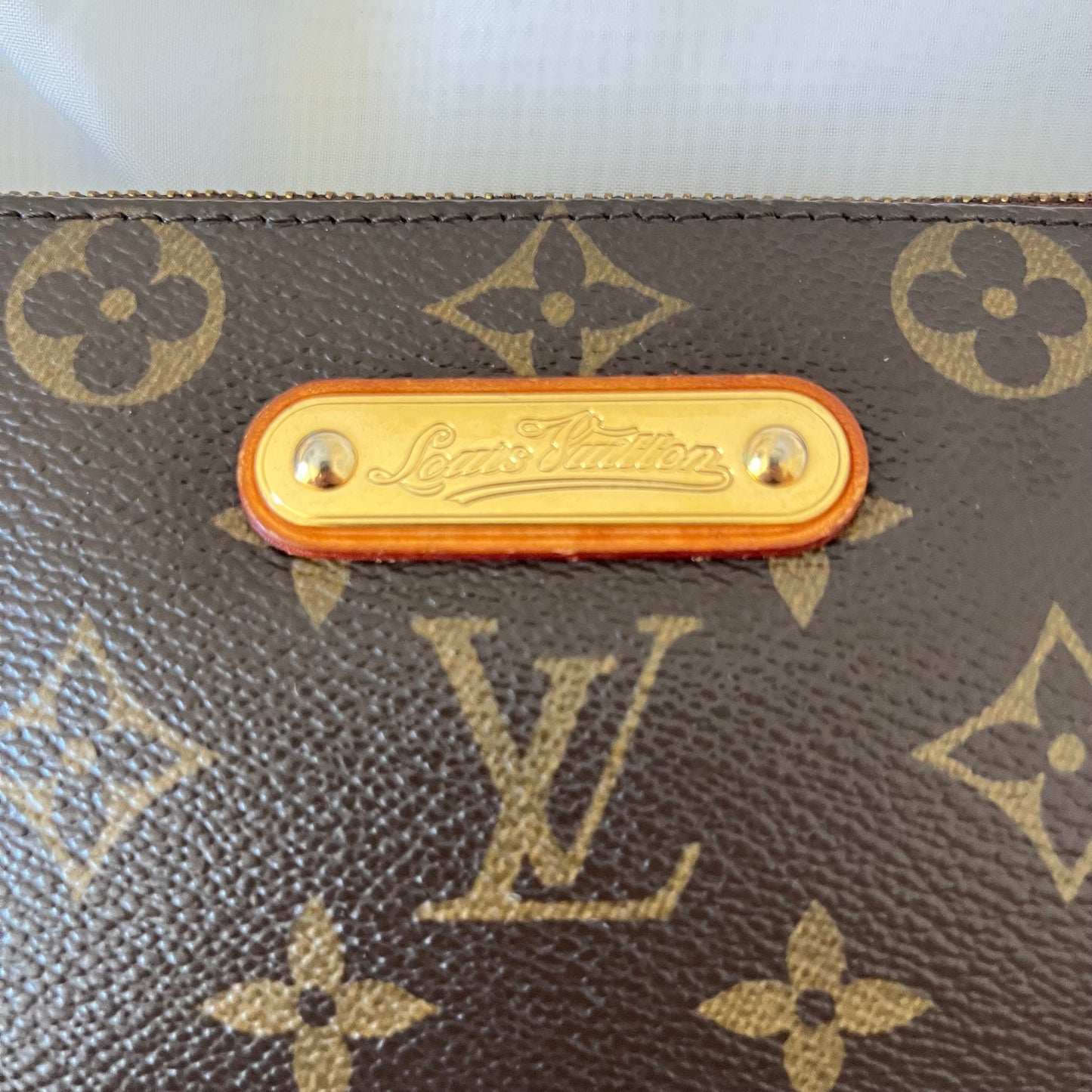 Louis Vuitton Monogram Eva Clutch