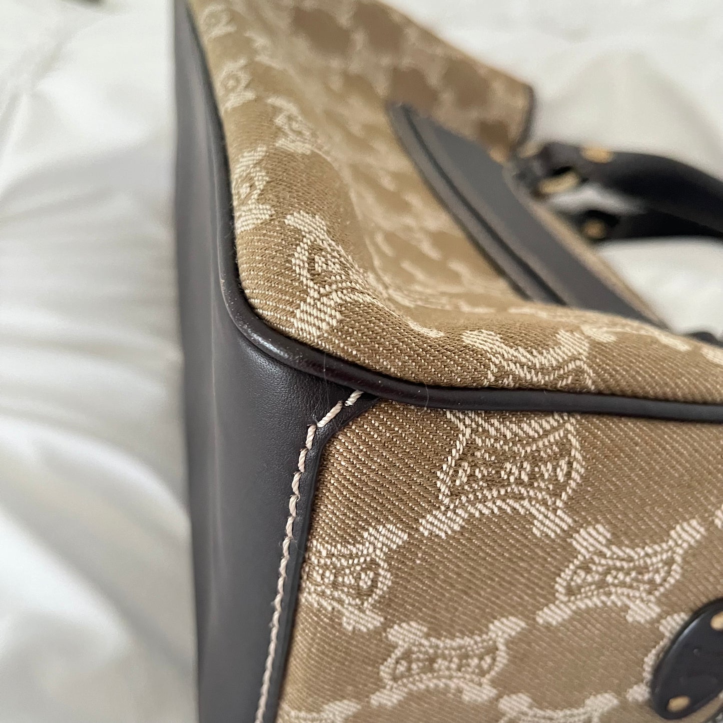Celine Canvas Triomphe Boogie Macadam Handbag