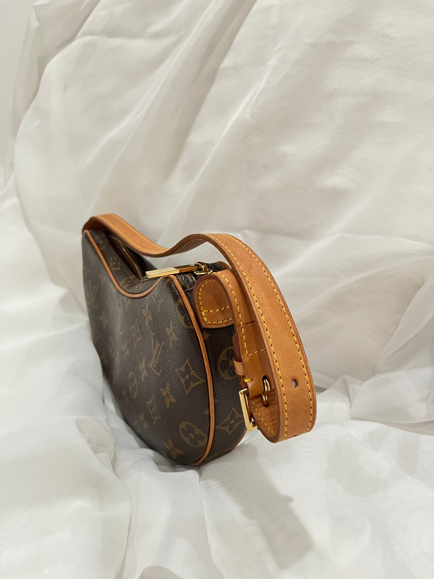 Louis Vuitton Monogram Pochette Croissant Shoulder Bag