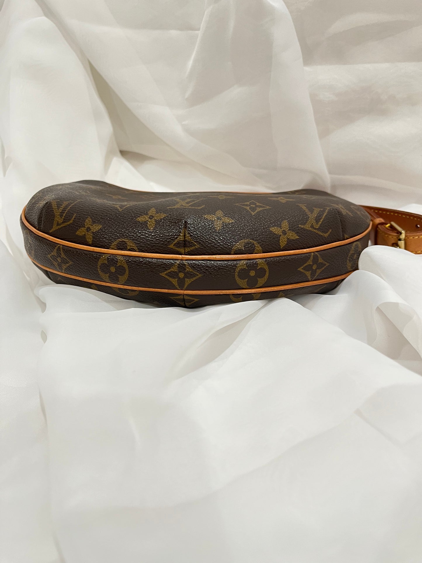 Louis Vuitton Monogram Pochette Croissant Shoulder Bag