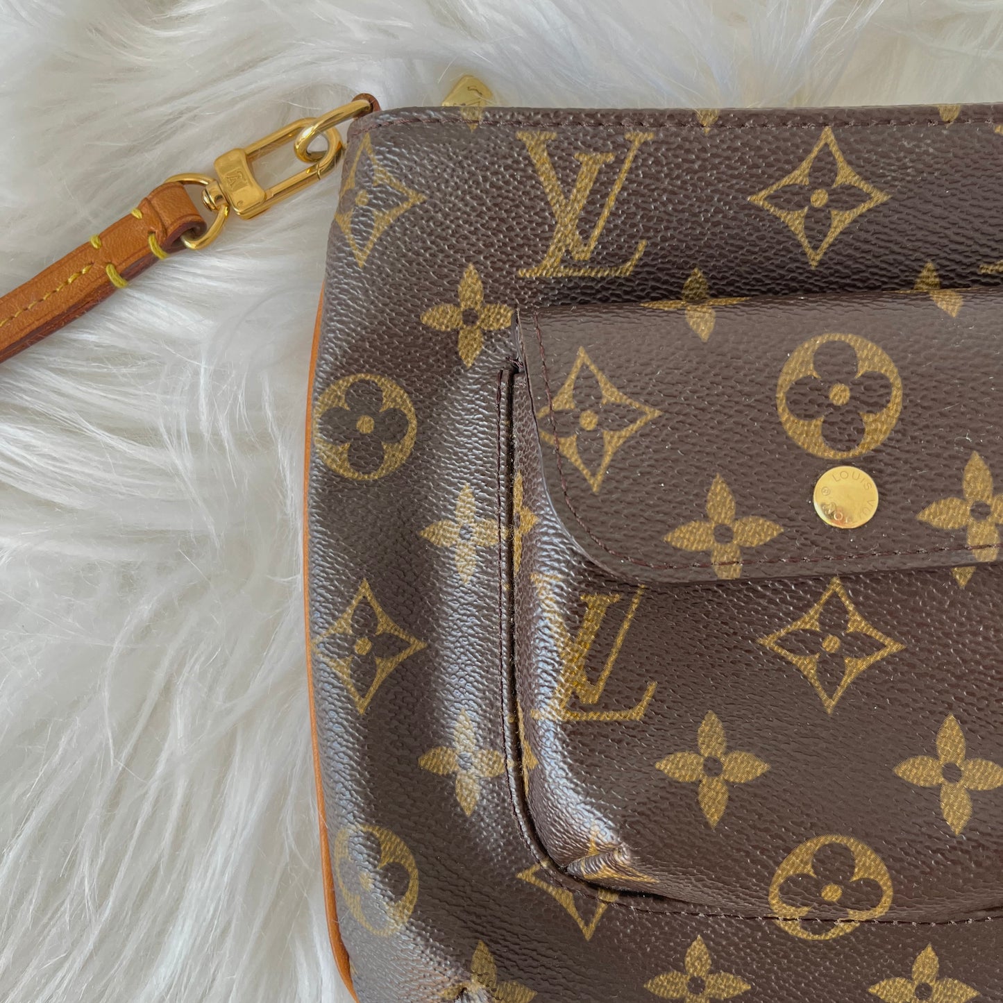 Louis Vuitton Partition Wristlet