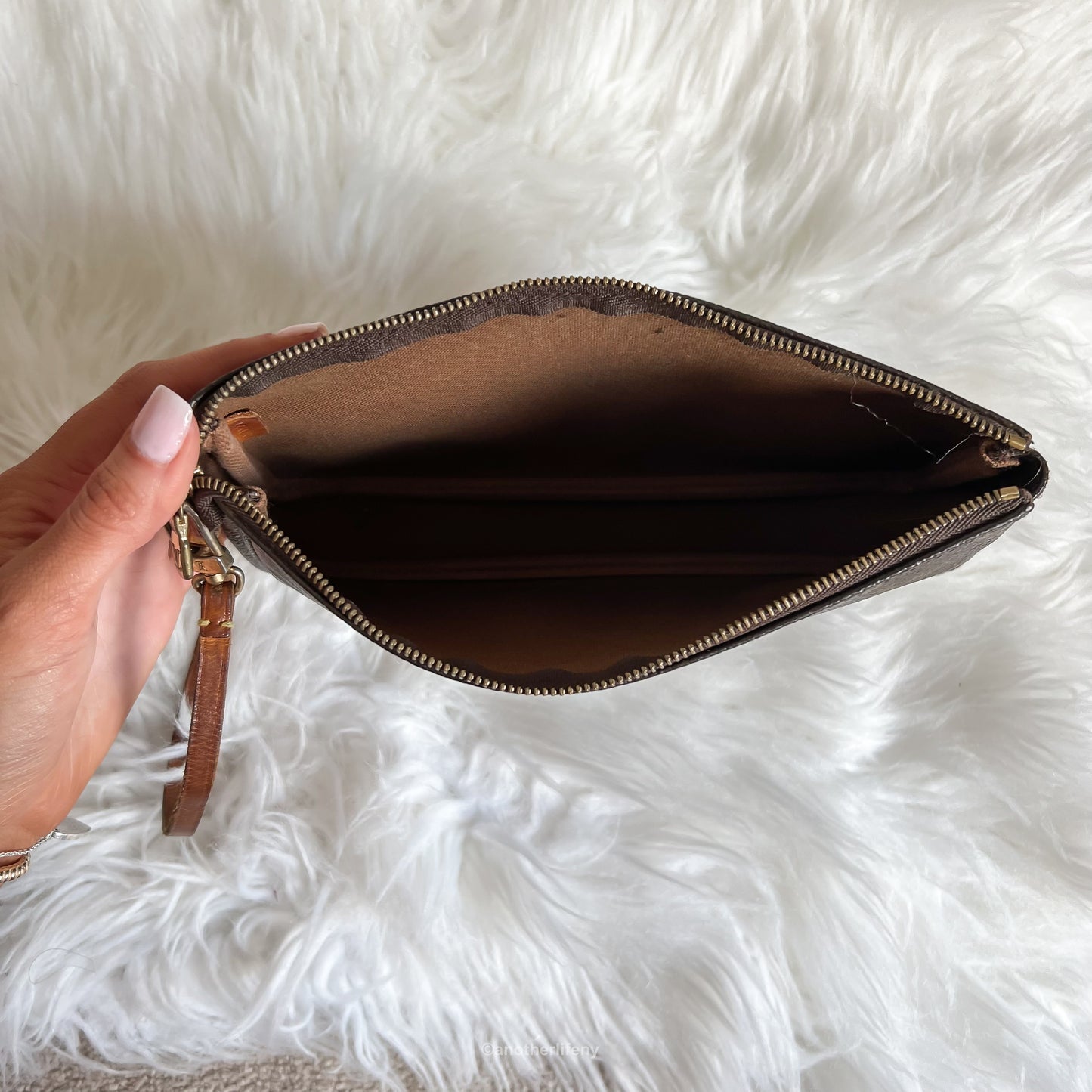 Louis Vuitton Monogram Pochette