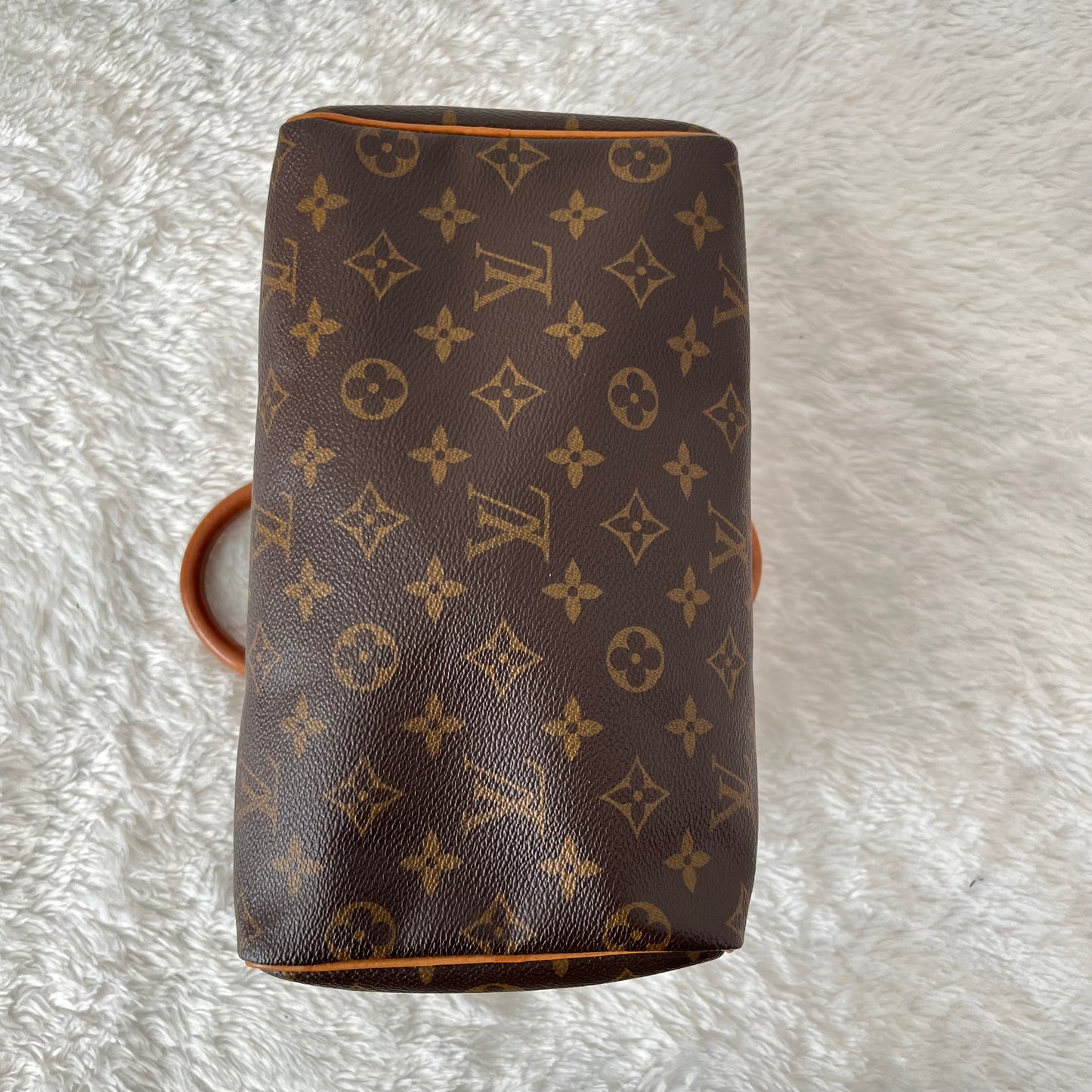 Louis Vuitton Monogram Speedy 25