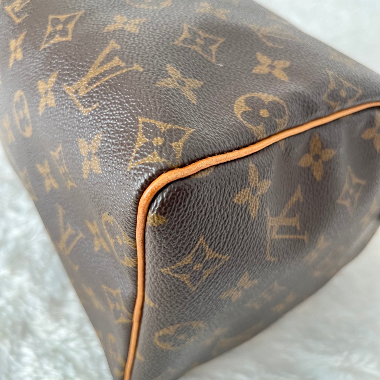 Louis Vuitton Monogram Speedy 25