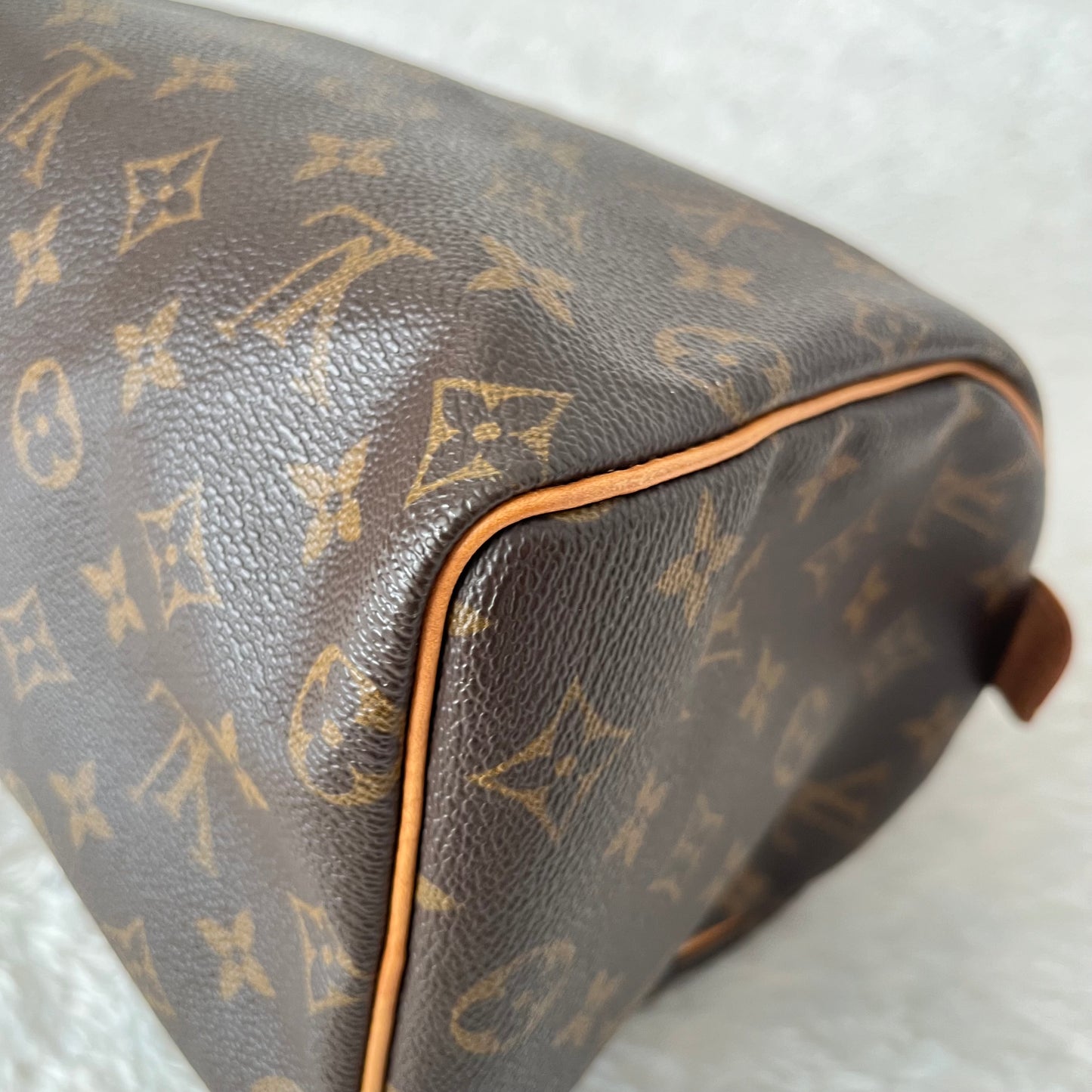 Louis Vuitton Monogram Speedy 25