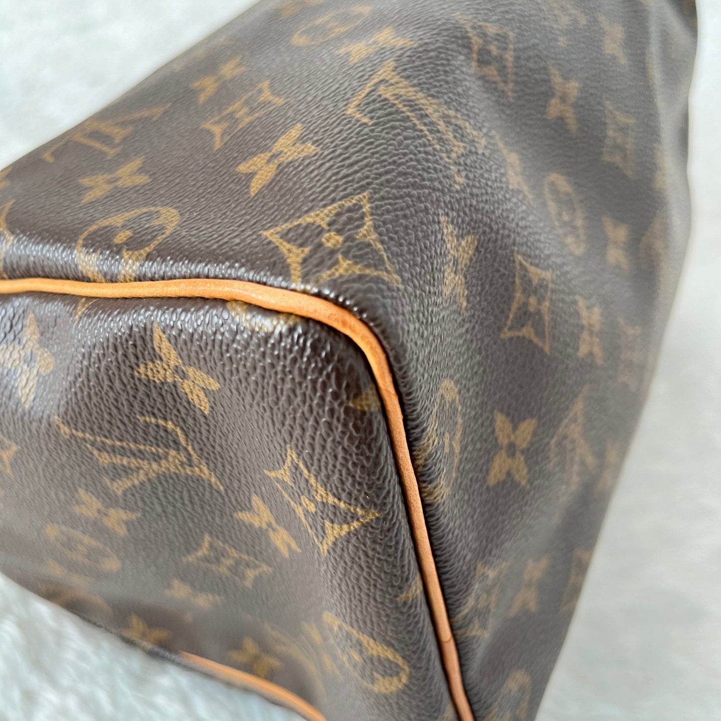 Louis Vuitton Monogram Speedy 25